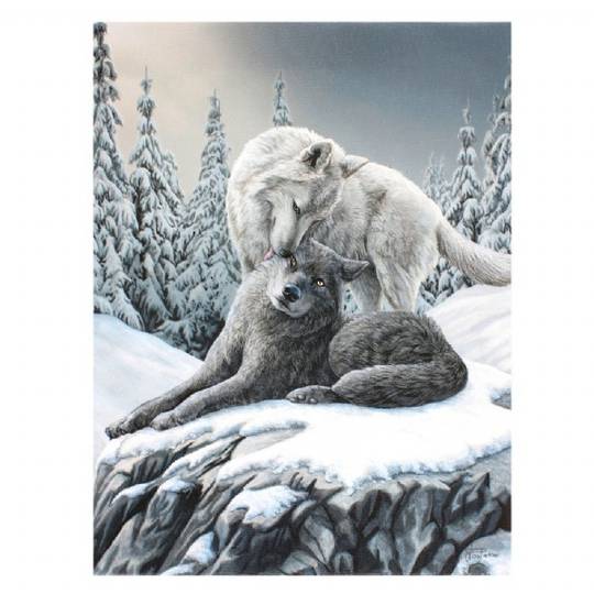Small Snow Kisses Wolf Canvas